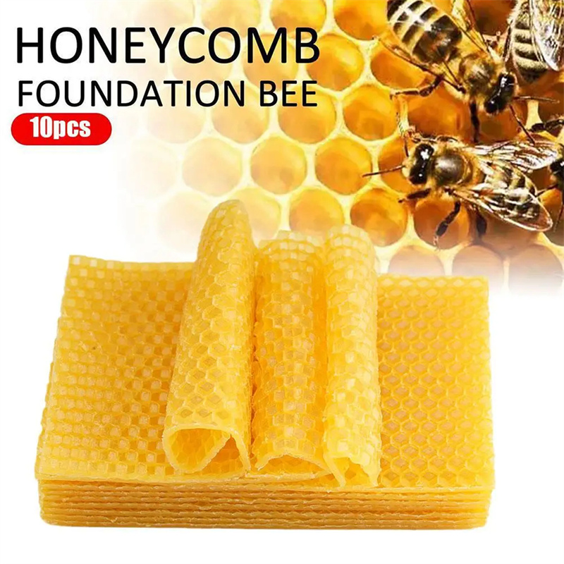 10Pcs Natural Beeswax Sheets H - Candle Supplies To Make Candles review and price
